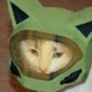 Meet your Posher, Donovan